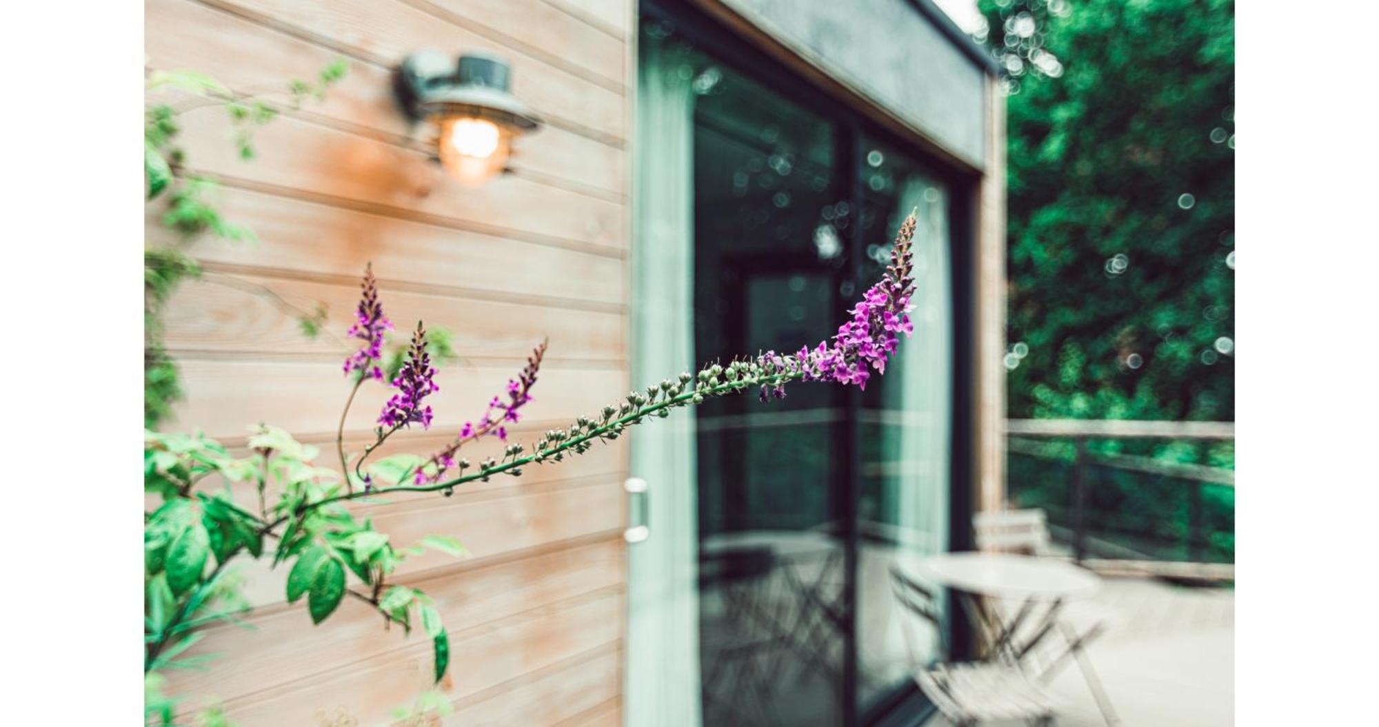 Clophill Eco Lodges 외부 사진